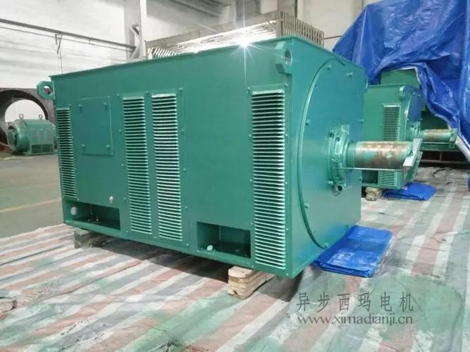 西瑪電機(jī)Y5603-10 560KW <a href=http://www.qsbc-sh.com/new/new-47-621.html target='_blank'><a href=http://www.qsbc-sh.com/new_tags_225.html target='_blank'>10kv高壓電機(jī)</a></a>